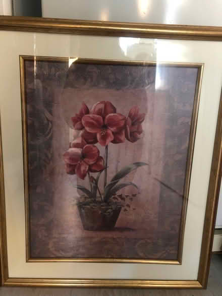Photo of free Pictures x 2 (Nr Thatcham (Bucklebury)) #1