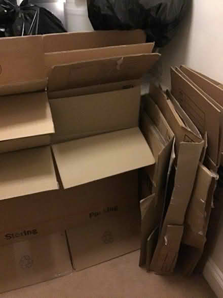 Photo of free MORE AVAILABLE: sturdy moving boxes (TA1) #1