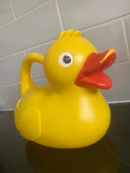 Photo of free Duck bath watering can (Warwick CV346) #1