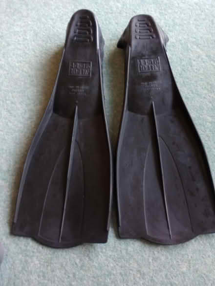 Photo of free Flippers (Beaconsfield HP9) #2