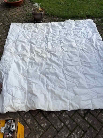 Photo of free Old duvets (OX9) #4