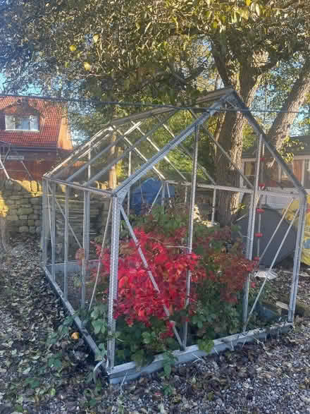 Photo of free Netted greenhouse 187x250cm (Killinghall HG3) #2