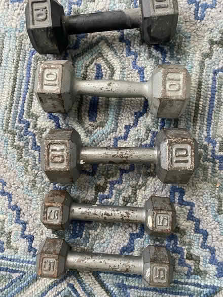 Photo of free Weights (Edgewater) #1