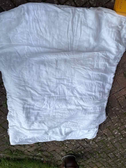 Photo of free Old duvets (OX9) #3