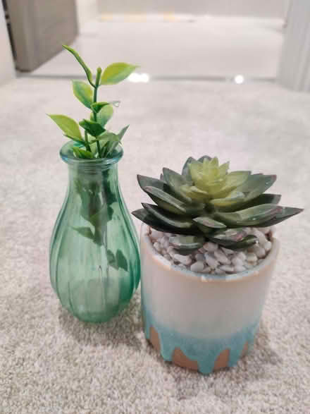 Photo of free Fake plants (Hoddesdon) #1