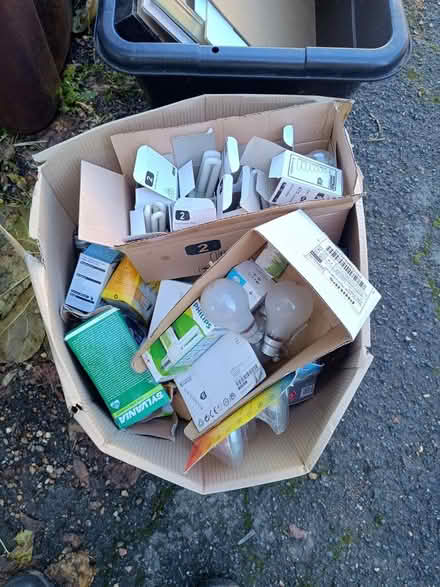 Photo of free Box full of bulbs (Maidstone ME16) #1