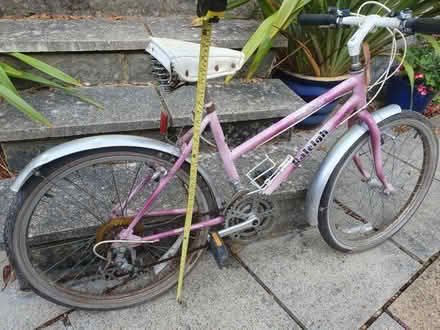 Photo of free Raleigh bike (Colehill BH21) #1