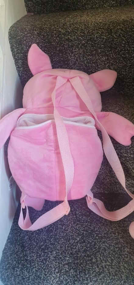 Photo of free Pig bag (CB4) #2