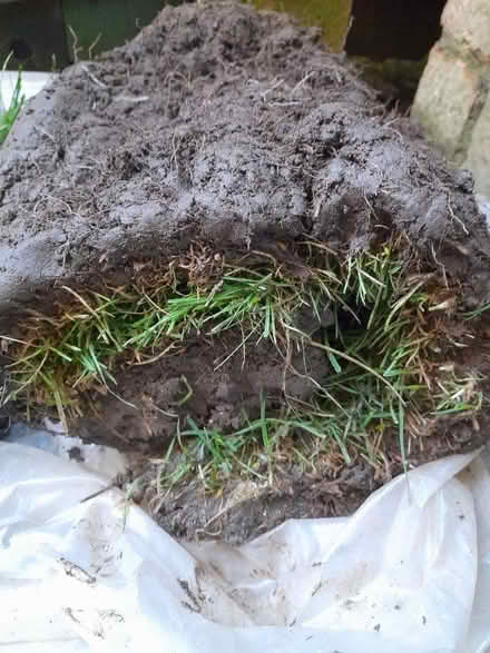 Photo of free Turf (Kingston Park NE3) #2