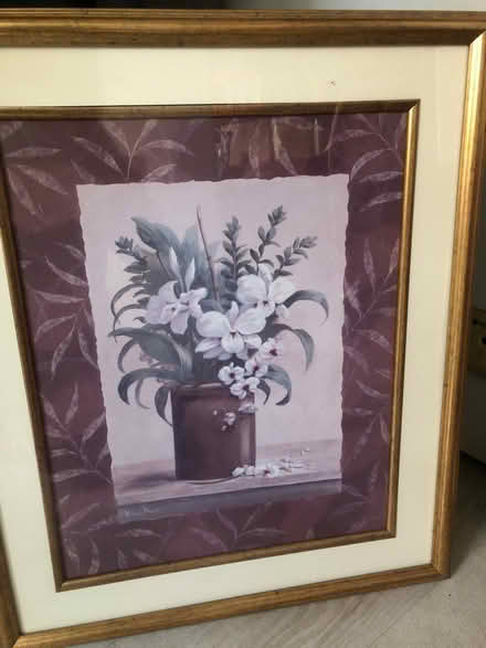 Photo of free Pictures x 2 (Nr Thatcham (Bucklebury)) #2