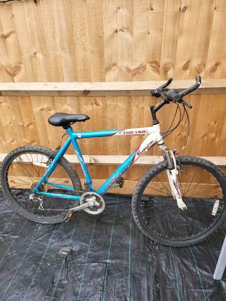 Photo of free Muddyfox mountain bike gents (shackleton village CV37) #2