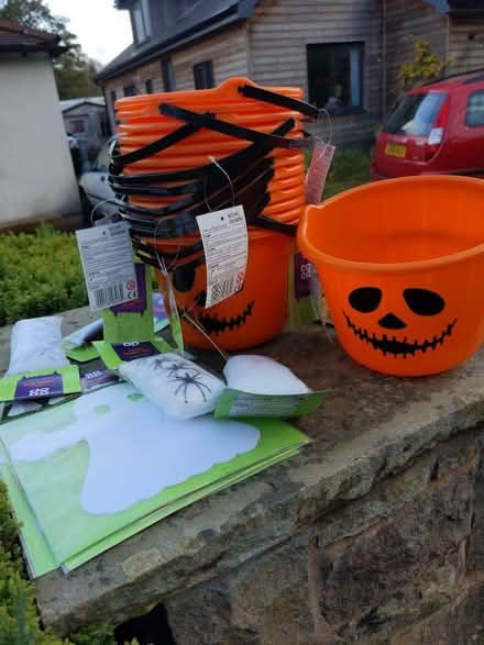 Photo of free Halloween stuff (Higher Poynton SK12) #2