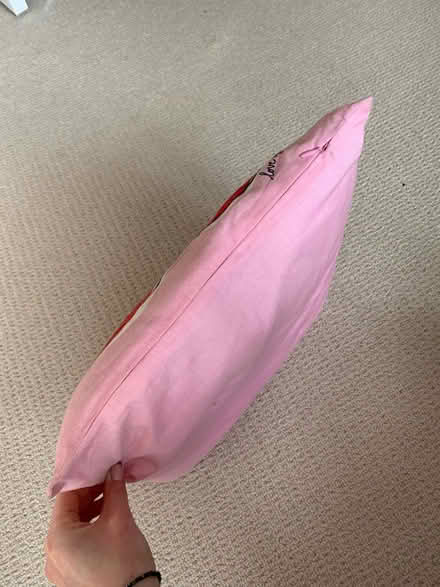 Photo of free Pink cushion (CR0) #1