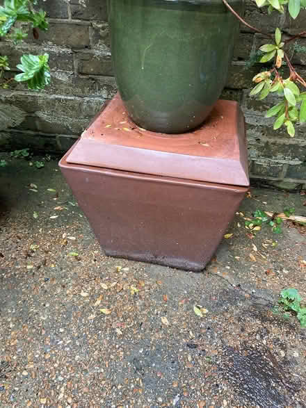 Photo of free Outdoor plants and pots (Preston Park BN1) #2