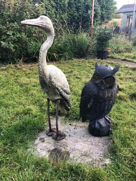 Photo of free Garden Owl and Heron (Radstock) #1