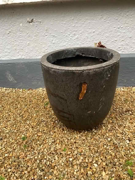 Photo of free Small flower pots - outside (Glenageary) #2