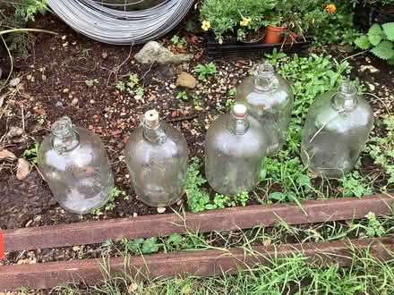 Photo of free Wine making bottles (Camberley) #1