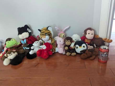 Photo of free Small to medium stuffed animals (Ashburn Farm) #1