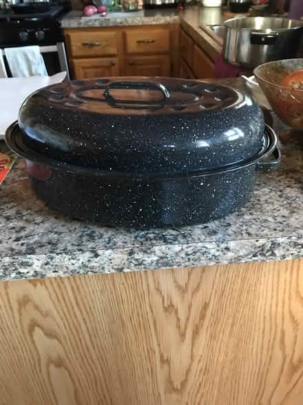 Photo of free Roasting pan (Havertown) #1