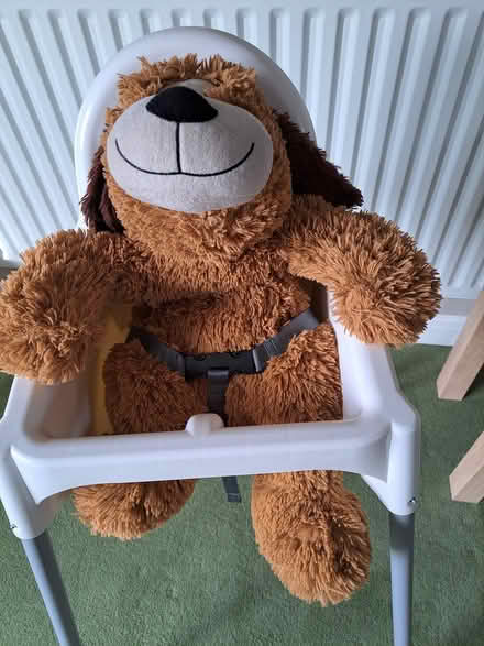 Photo of free Child's High Chair (Broughton, Kettering) #2