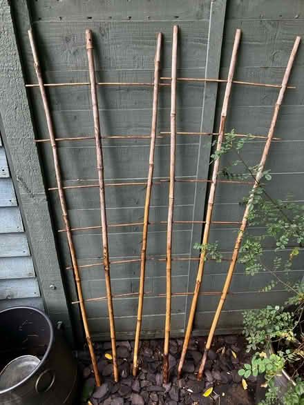 Photo of free 2 x Bamboo Fan Trellis (Strawberry Hill TW2) #1