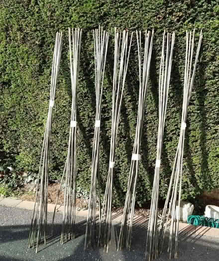 Photo of free Bamboo canes (Glenleigh Park TN39) #2