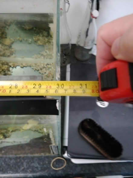 Photo of free Fish tank (Hertford SG13) #3