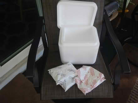 Photo of free 1 Styrofoam Cooler w/freeze packs (Lancaster, South west side.) #1