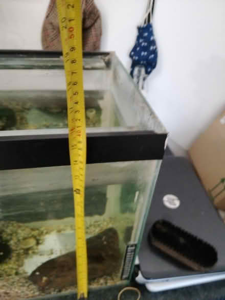Photo of free Fish tank (Hertford SG13) #4