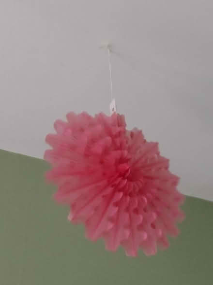 Photo of free Paper hanging decorations (High Town LU2) #2