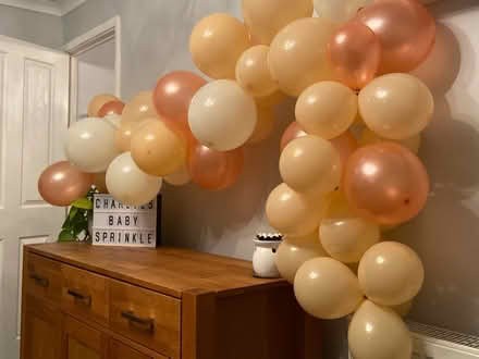 Photo of free Balloon arch (Springfield CM2) #1