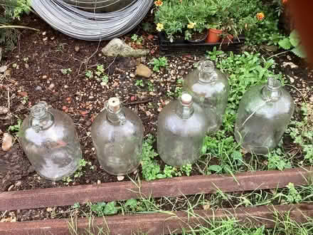 Photo of free Wine making bottles (Camberley) #3
