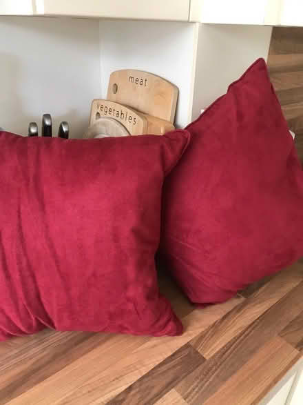 Photo of free Cushions (Densole Kent) #1
