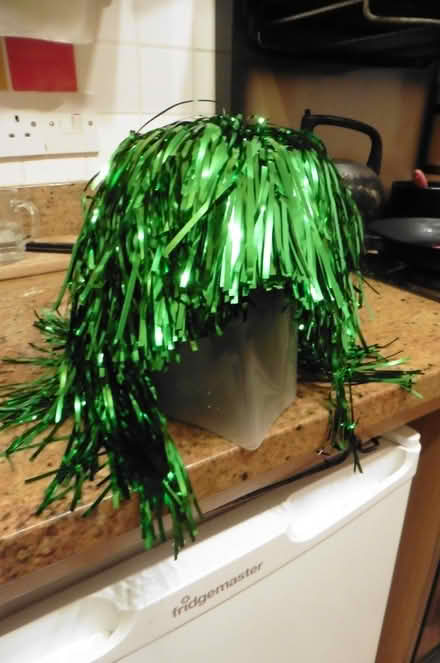 Photo of free Green tinsel fright wig (Sheddingdean RH15) #1