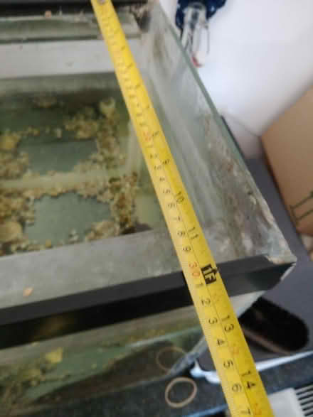 Photo of free Fish tank (Hertford SG13) #2