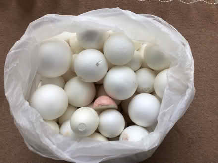 Photo of free Polystyrene Shapes (Shefford SG17) #2