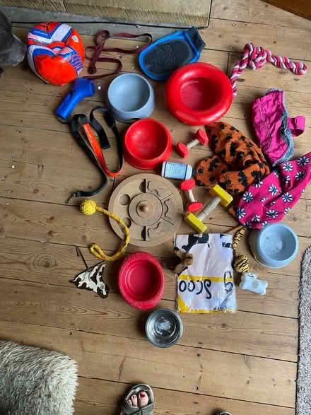 Photo of free Dog stuff (North Bersted PO22) #1