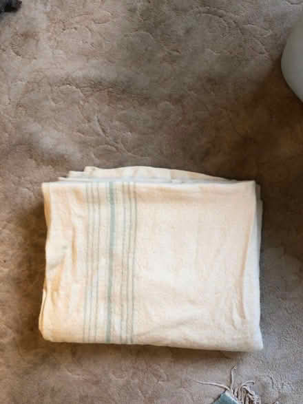 Photo of free Wool blanket (Somerset Levels and Moors BA6) #1