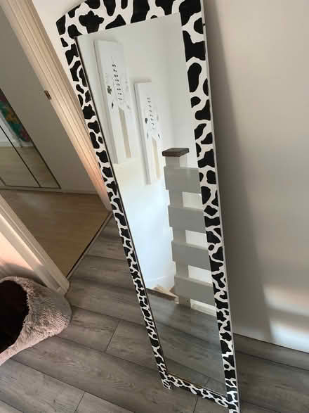 Photo of free Mirror (OX14) #1