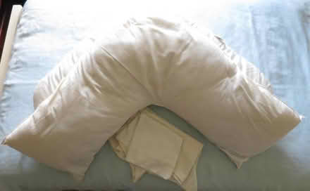 Photo of free L-Shaped pillows (Knighton LD7) #1