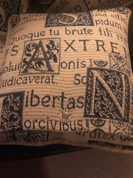 Photo of free 4 Gold & Black Cushions (Upton on Severn WR8) #2