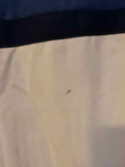 Photo of free Full length navy & white curtains (Colchester CO1) #2