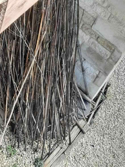 Photo of free bamboo canes (Stroud GL5) #1