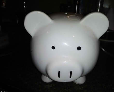 Photo of free Piggy Bank in Need of Good Home (Flanders NJ) #1