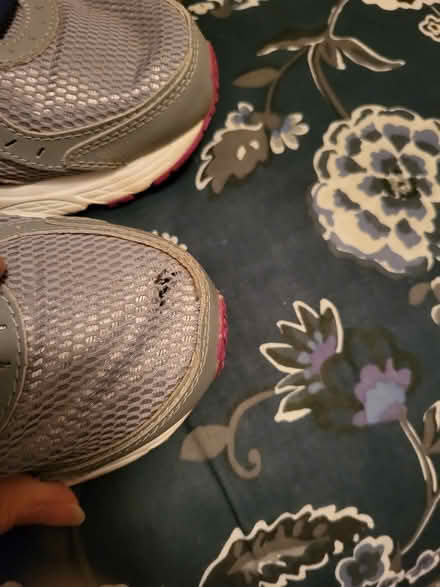 Photo of free Womens size 10 sneakers (Redford) #3