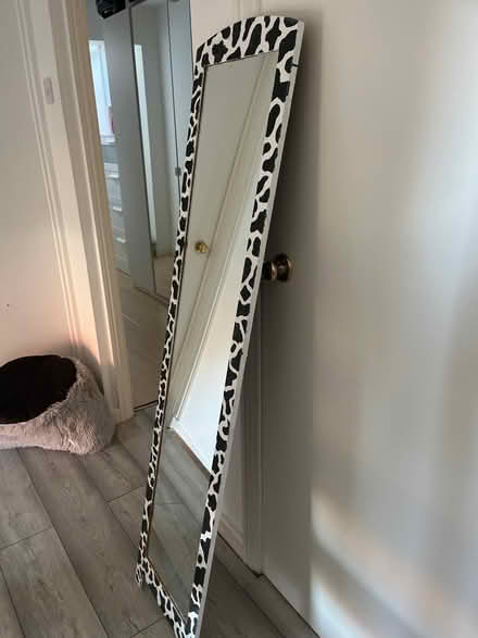 Photo of free Mirror (OX14) #2