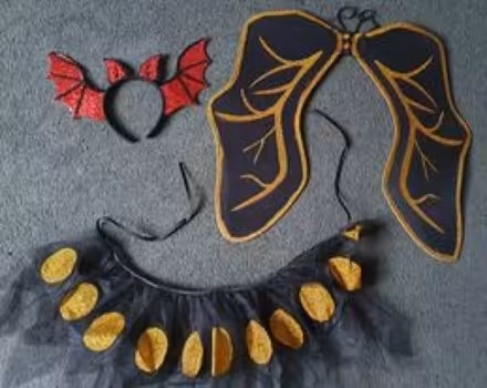 Photo of free Girls Halloween bat fancy dress age around 4 - 6 years (Gerard's Bridge WA11) #1