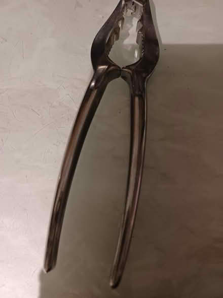 Photo of free Nutcracker (Upshire EN9) #1