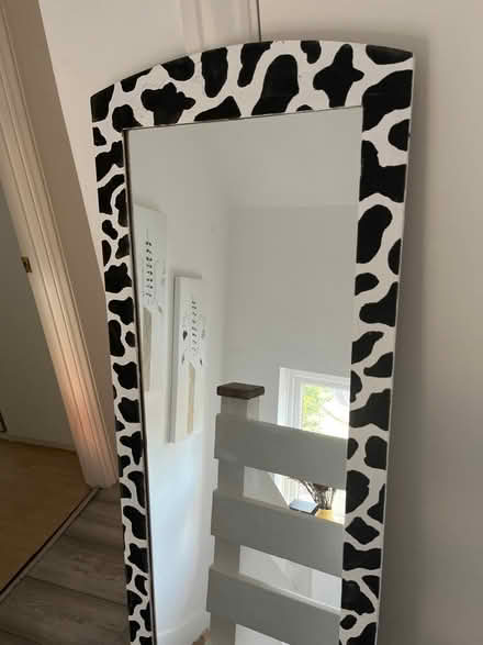 Photo of free Mirror (OX14) #3
