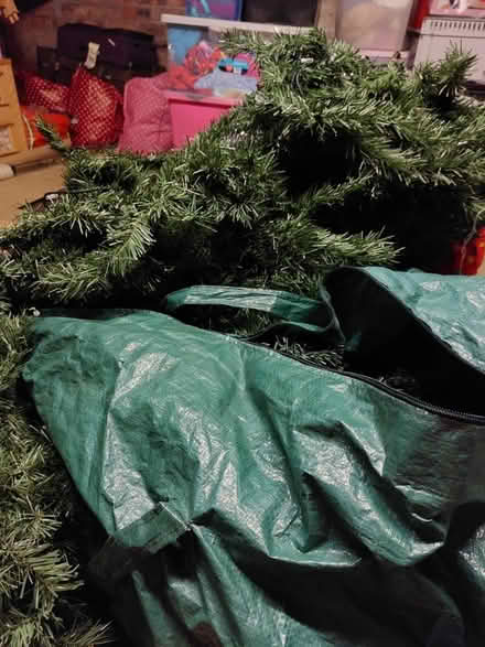 Photo of free 3 6ft Christmas trees (Bebington CH63) #1